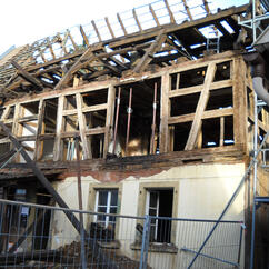 Gransdorf Bienenhaus