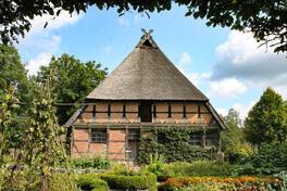 Schafe, Plaggen und „ewiger Roggenbau“: die Heidebauern in europäischen Heidegebieten und in der Lüneburger Heide
