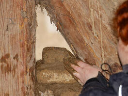 Jugendbauhütten in Wasserleben