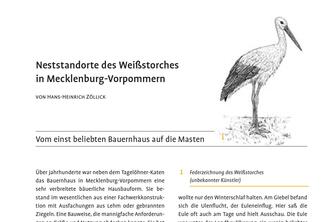 Neststandorte des Weißstorches in Mecklenburg-Vorpommern