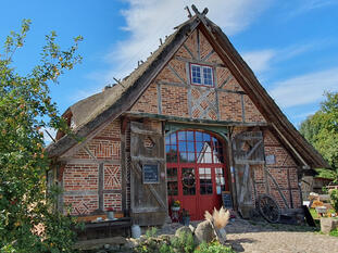 Mecklenburg Vorpommern, Schattin, Ferienwohnung, Urlaub unterm Reet