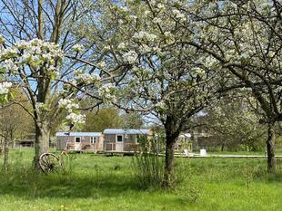 Wiedenbrügge Schmalenbruch - Auszeit Bauwagencamp