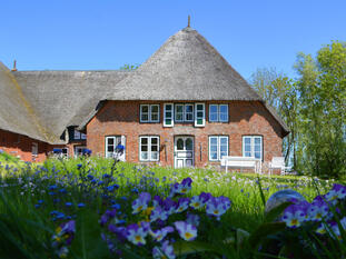 Fitzen - Ferienwohnung - Niederdeutsches Hallenhaus von 1860