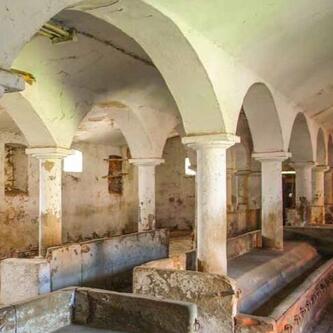 Altenburger Vierseithof 2024