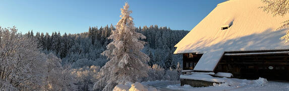 Schwarzwaldhaus Ochsenhof: Durch das weit heruntergezogene Dach bildet sich im Winter, wenn der Schnee meterhoch liegt, ein Gang um das Haus © Almud Brünner