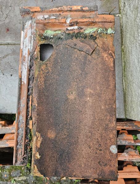 IgB Schadensbilder - Dach - defekte Dachziegel