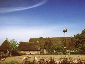 Vierlande, Hof Eggerns in der Ohe, © Interessengemeinschaft Bauernhaus, Bildarchiv Hof Eggers
