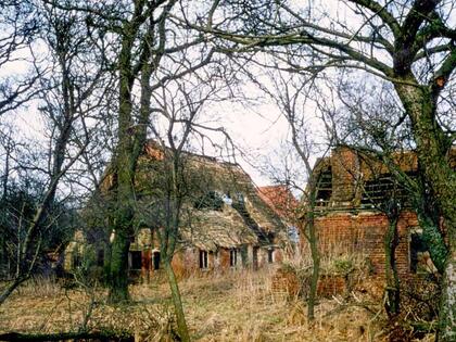 Das Haus in Engeln, Situation 1975, Blick auf den Wohngiebel, rechts Backhaus der Zeit um 1900, © Interessengemeinschaft Bauernhaus, Horst Löbert