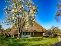 Wismar Mecklenburg-Vorpommern